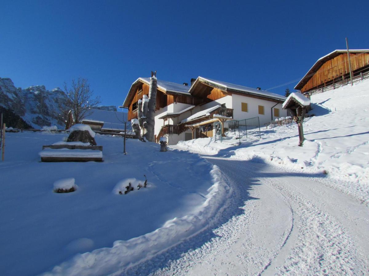 Agriturismo Luech De Vanc 산 마르티노 인 바디아 외부 사진
